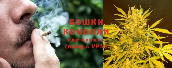 PSILOCYBIN Алексеевка
