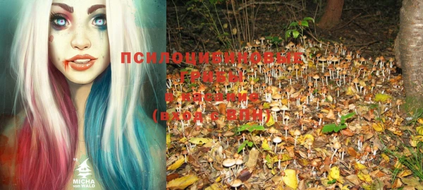 PSILOCYBIN Алексеевка